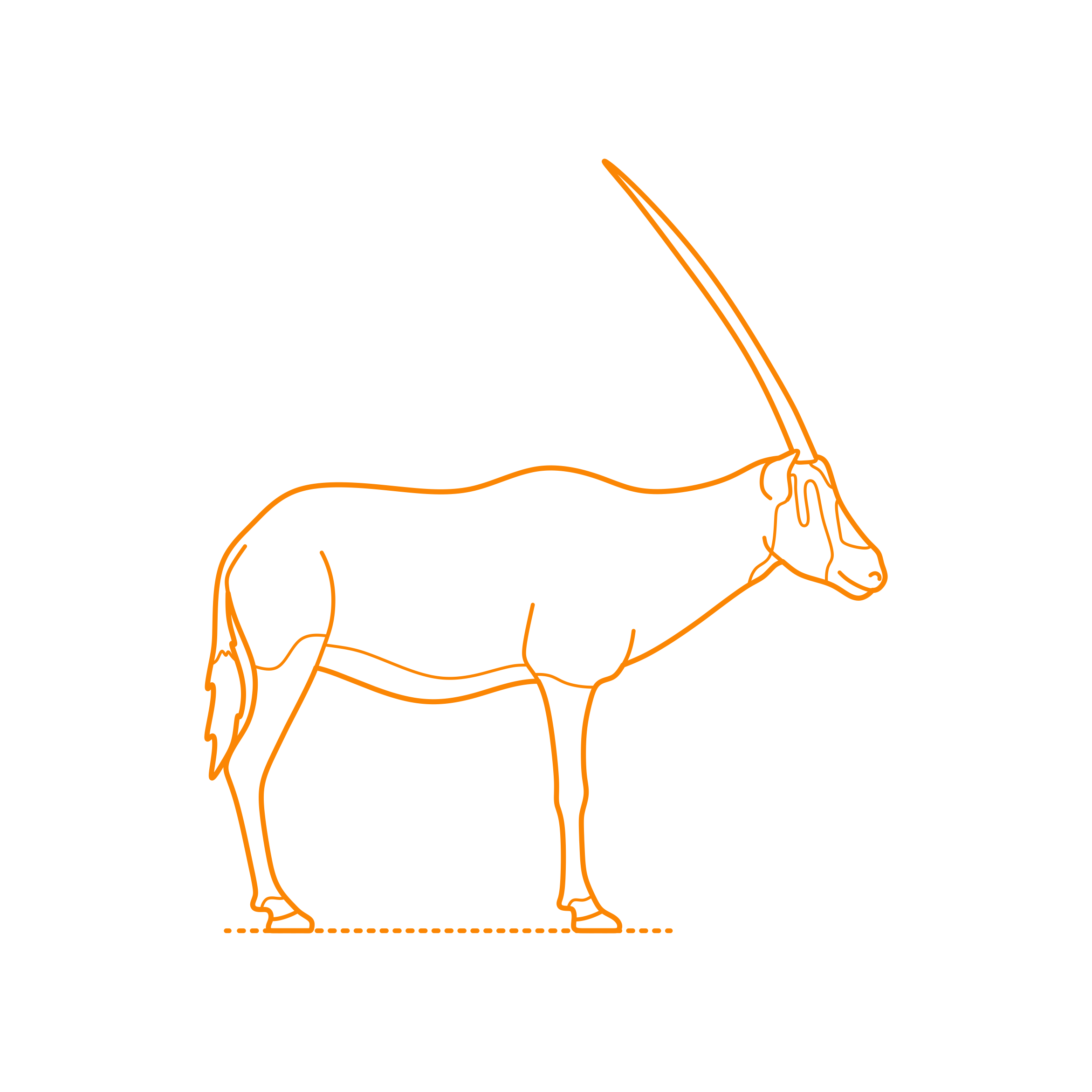 Animals Antelopes Arabian Oryx Outline Svg File Free Vectors